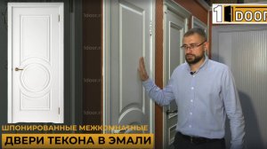 Шпонированные двери в эмали - стоит ли покупать?