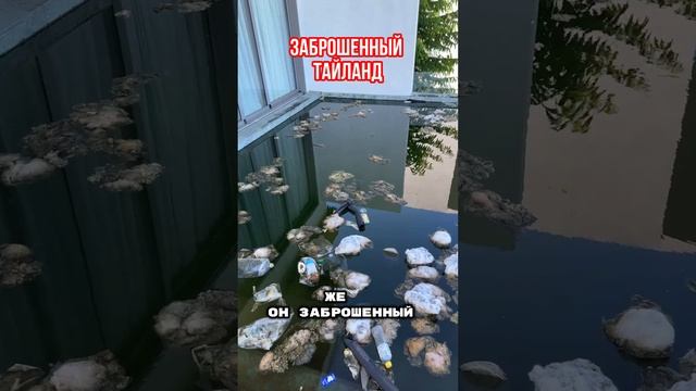 ЗАБРОШЕННЫЕ ВИЛЛЫ в ТАЙЛАНДЕ на ОСТРОВЕ ПХУКЕТ