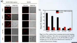 13. Host-Guest supramolecular cubes: a versatile engineering system