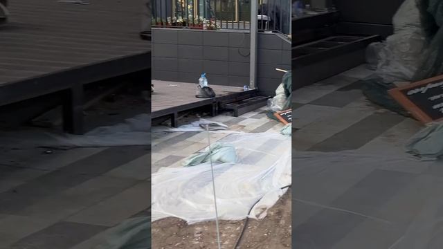 Главные помощники в работе
