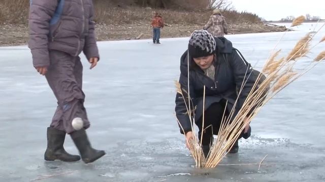 Наука спасёт море смотреть онлайн
