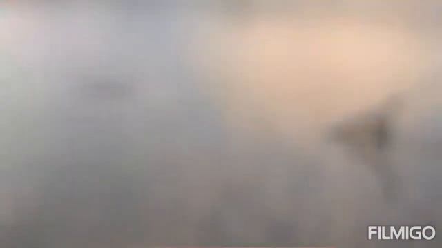 Drill Crap pop-up 15mm смотреть онлайн