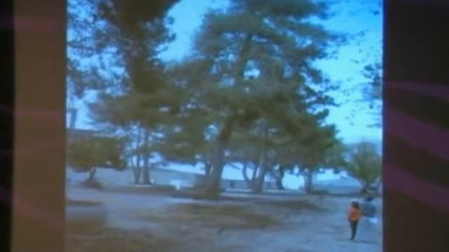 WHAT show presents Nevada Organic Gardening Forum 2