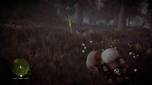 FAR CRY PRIMAL,МЕШОК ОХОТНИКА УЛУЧШИТЬ ШКУРА ДИКОЙ СОБАКИ