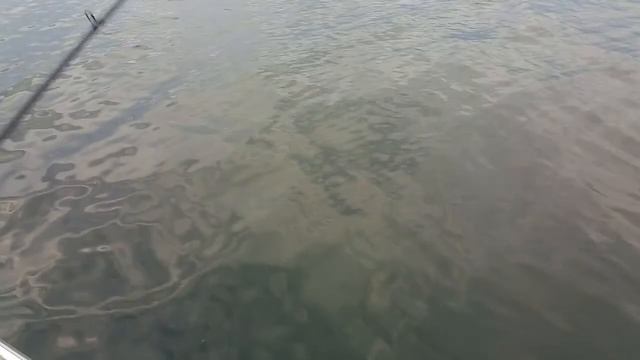 7 августа 2017 - первый смотреть онлайн