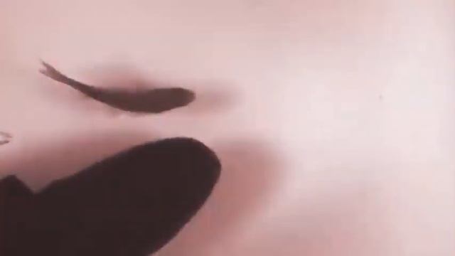 электро шок рыба смотреть онлайн