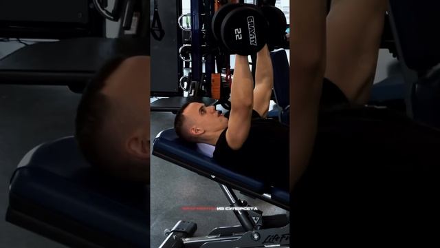 ЛЮБИМАЯ РУТИНА HARMONY FIT