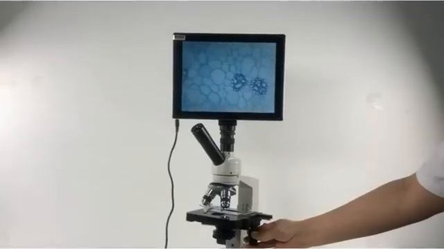 Kính Hiển Vi Cho Học Sinh Xsp 35 100x 1600x