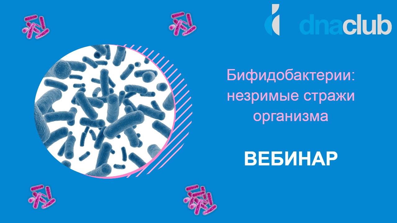 Бифидобактерии: незримые стражи организма