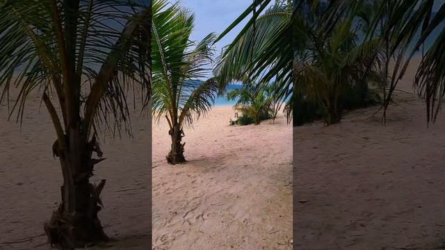 Эксклюзивный отдых на Филиппинах Боракай кайфуй от жизни смотреть онлайн