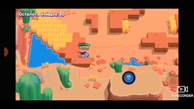 Браво старс смотреть онлайн