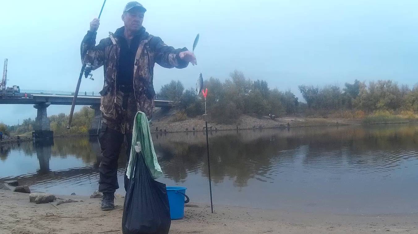 Густера и плотва на Ахтубе черные камни нервно курят в сторонке.