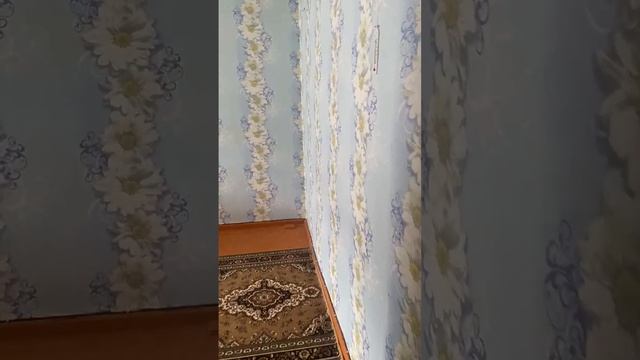 Сарапул