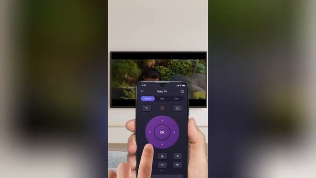 roku TV Remote Control Plus 16x9 смотреть онлайн