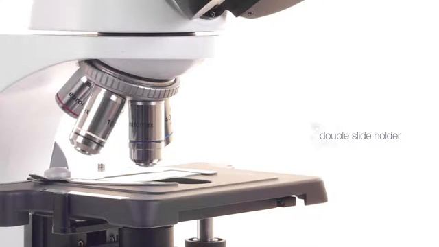 Kính hiển vi ba mắt  Euromex- Hà Lan