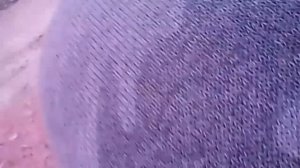 👍Ловушка для рыбы своими руками