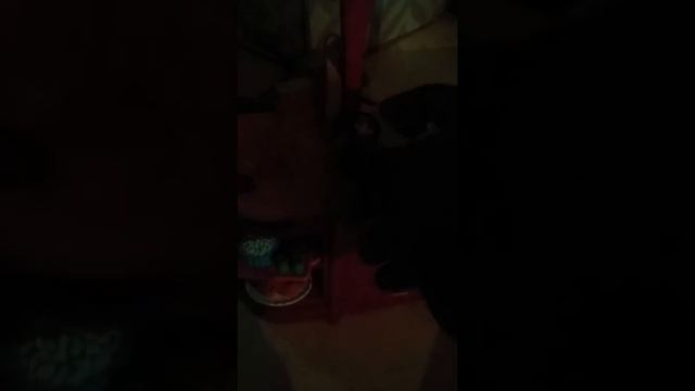 A visit from apple white ever after high смотреть онлайн