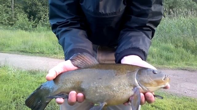 Вот это линь! смотреть онлайн