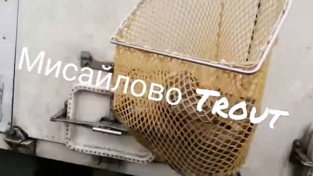 Мисайлово Trout. Приняли форель в садок