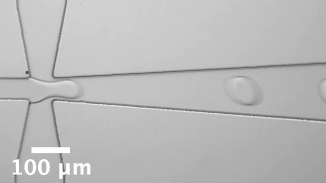 droplet generator смотреть онлайн