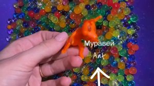 Шарики орбиз, весело учим животных. Для детей. Balls orbits, fun to teach animals.  For kids