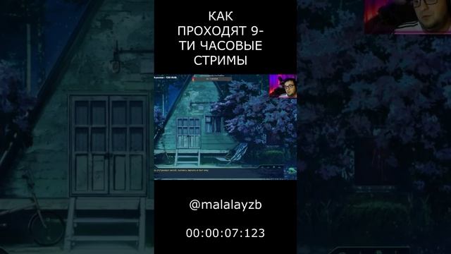 КАК ПРОХОДЯТ 9-ТИ ЧАСОВЫЕ СТРИМЫ