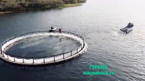 Садки для разведения рыбы, понтоны. Производство и монтаж рыбоводной фермы под ключ.