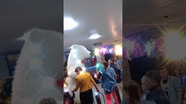 Поздравление от белого мишки в Оренбурге.25.11.23 смотреть онлайн