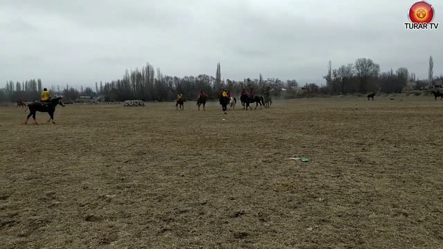 Кок-Бору Талас Манас-району 1981 жылкы Акелердин ынтымагы смотреть онлайн