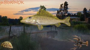 РР4 Река Вьюнок, закритые картинок. Турнир