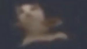 Шни шна шнапи шнапи шнапи шноп но это теперь жмых эффект