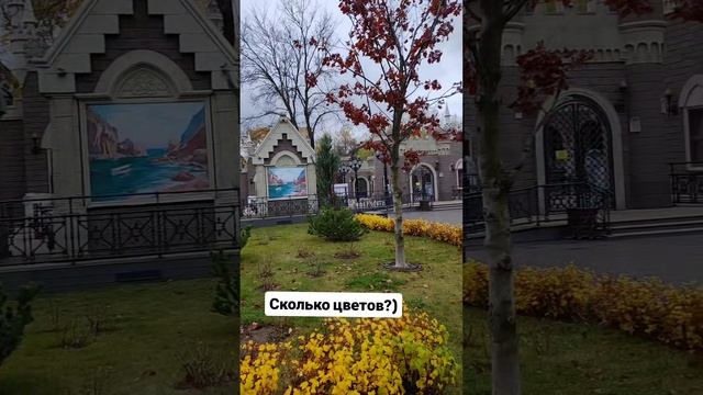 сколько цветов?