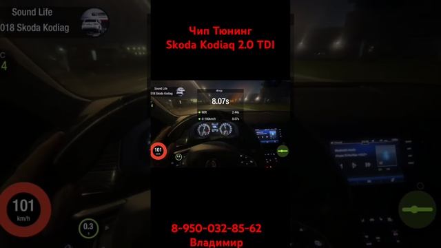Чип тюнинг Vag TDI SPB