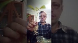 Получил посылку от Артёма из канала Будни аквариумиста.