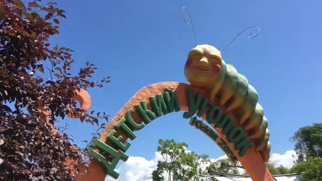 Дисней ленд в Сочи, Дельфинарий, парк Атракционов смотреть онлайн