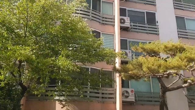 Собираем и отправляем вещи из Кореи в Россию. Back to Russia часть 1 смотреть онлайн