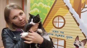 Был готов попасть в домашнюю жизнь, наполненную любовью и заботой… У НЕГО ПОЛУЧИЛОСЬ! | Аметист