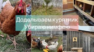 Доделываем курятник, убираю нимфею