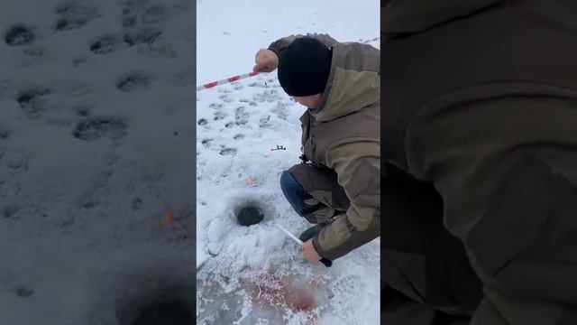 18 декабря 2020 г. смотреть онлайн