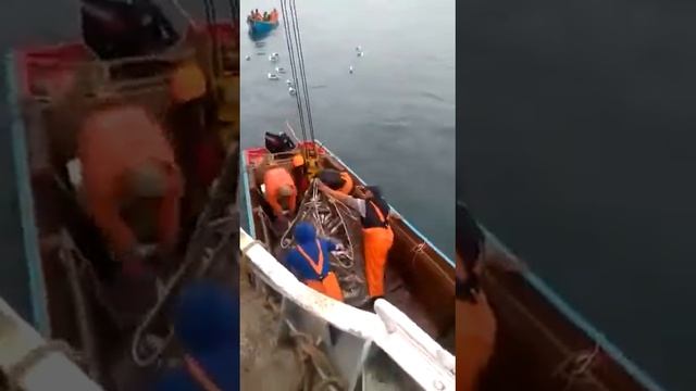 Рыбалка на Вахиле. Часть 2 смотреть онлайн