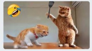 Приколы с животными ржака