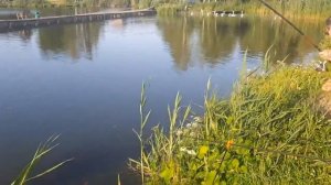 Платная рыбалка Пирогово - Коргашино