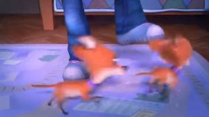 Fiksiki 36 Volshebnaya  Palochka