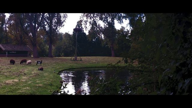 Autumn III, Iphone 6s plus , Guerrilla Filmmaker app , Zhiyun gimbal , смотреть онлайн