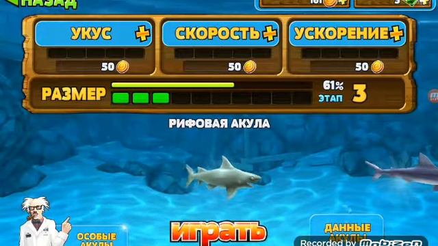 Мирная рыба смотреть онлайн