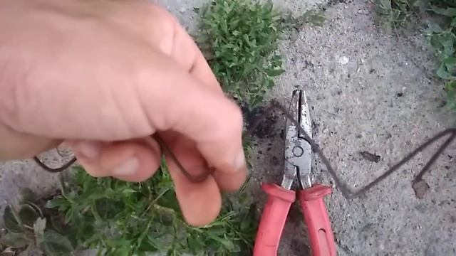 Саженцы клубники в стаканчиках. смотреть онлайн