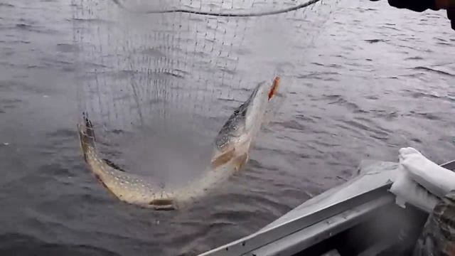 Тягинка 22 сентября 2013г.-2 смотреть онлайн