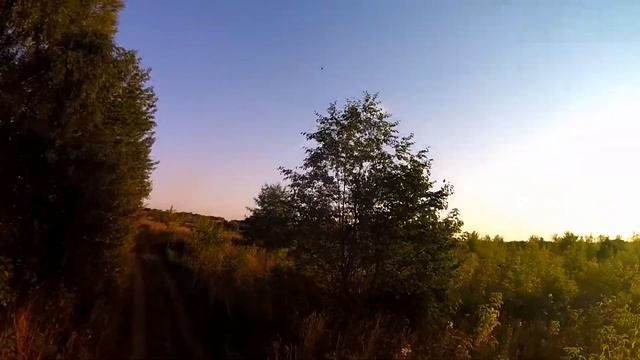 FPV #Быковка #свысотыптичьегополета