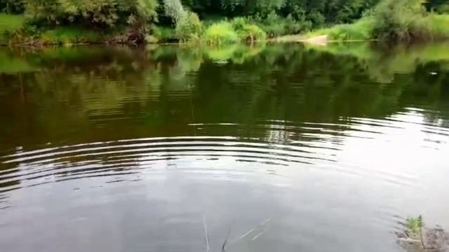 Клетня.Рыбалка-купалка.Волшебный клен.