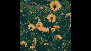 Sunbyonic - Bouquet of paper flowers (Day Mix)
